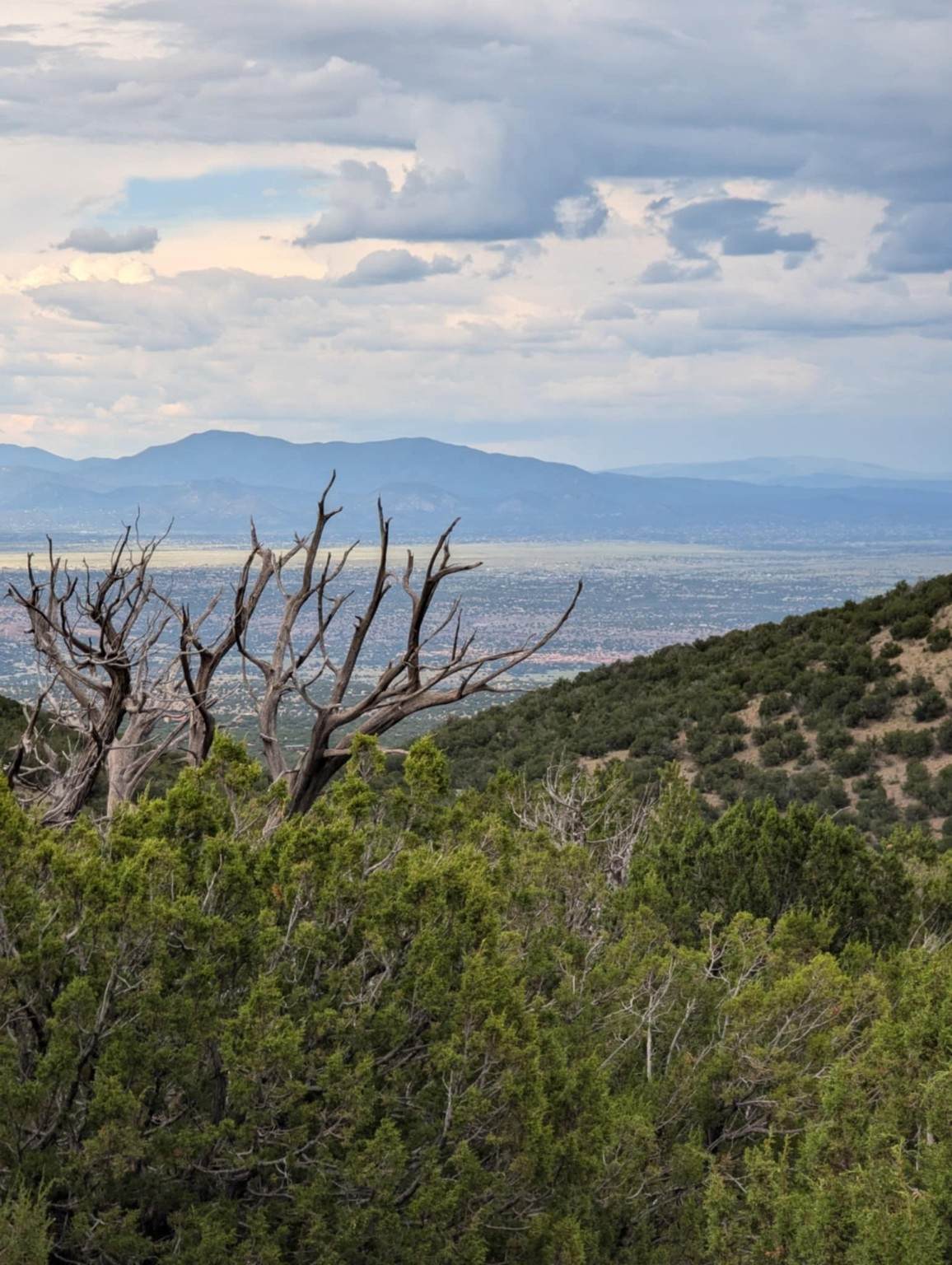 0 Ortiz Mine Grant - Photo 1