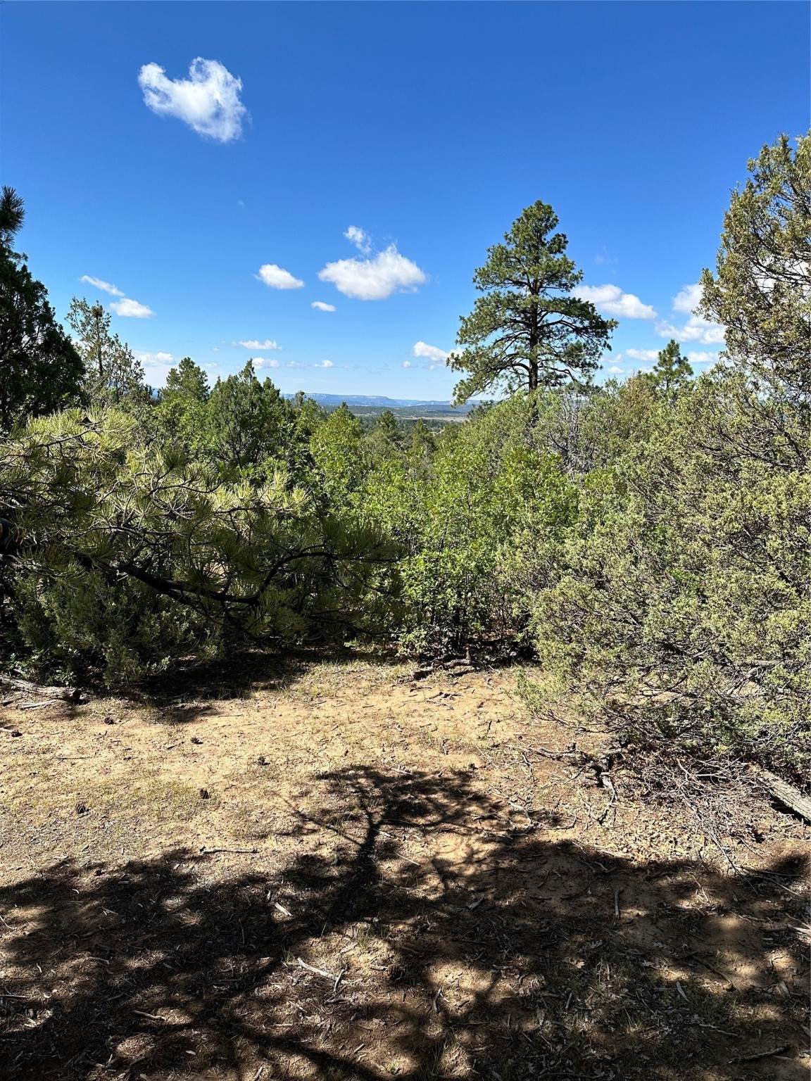 99 Private Drive 1781A - Photo 1