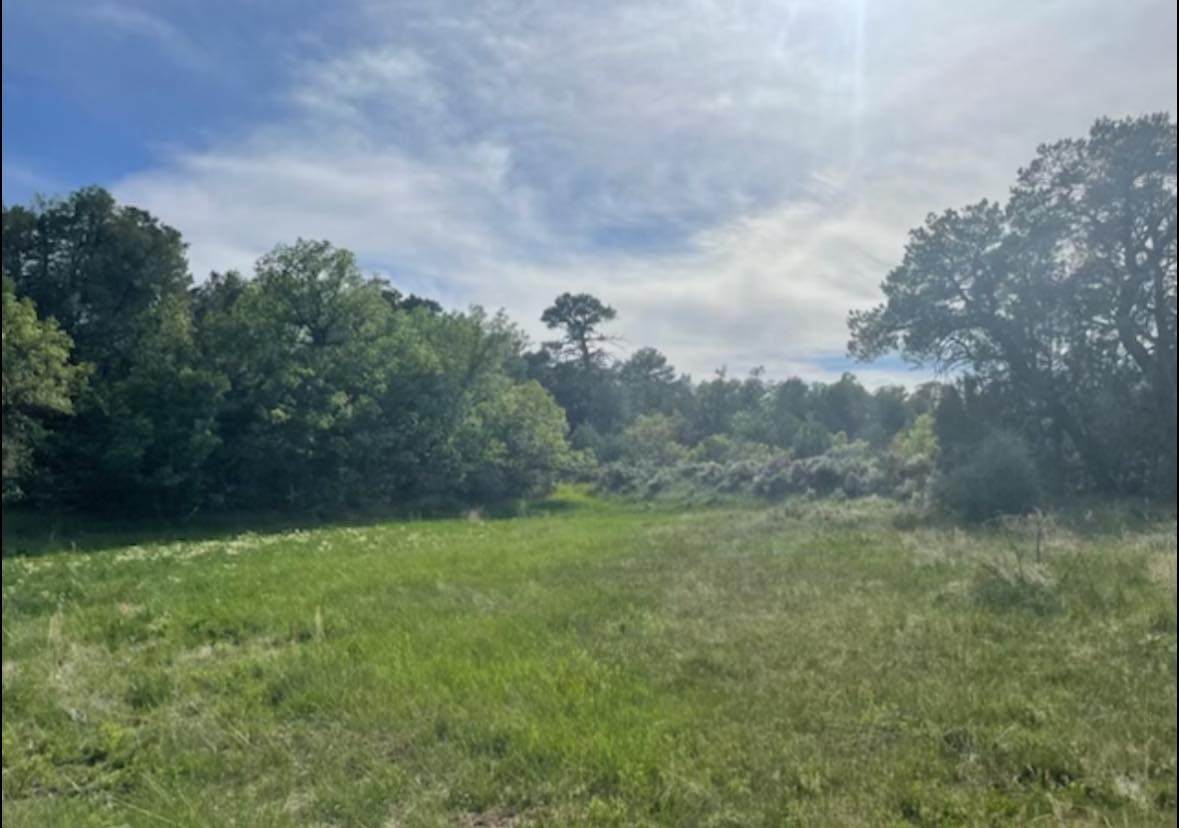 101 Naranjo Creek - Photo 1