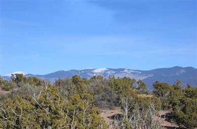 16 Arriba Circle - Photo 1