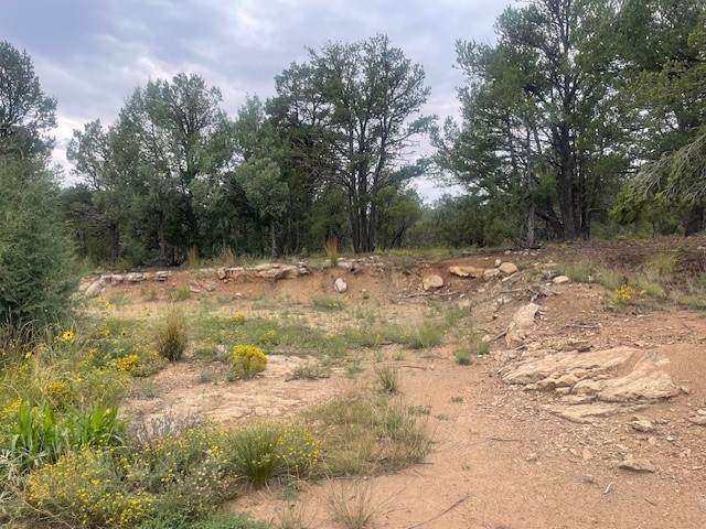 15 Corte Vargas - Photo 1