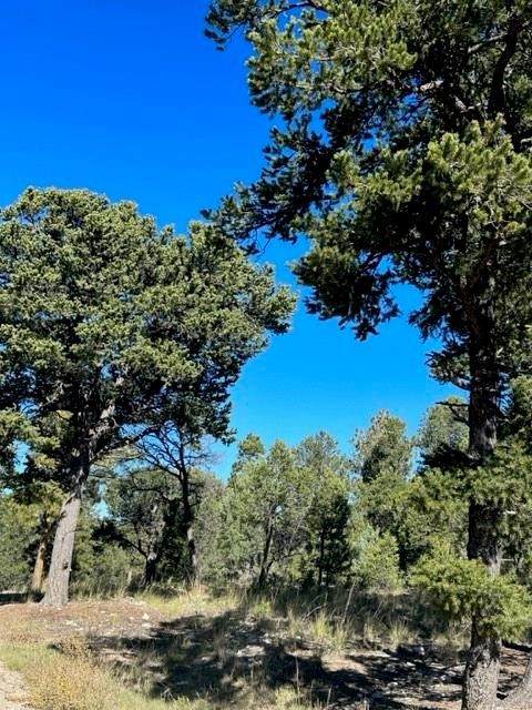 https://bt-photos.global.ssl.fastly.net/santafe/orig_boomver_2_202505224-2.jpg