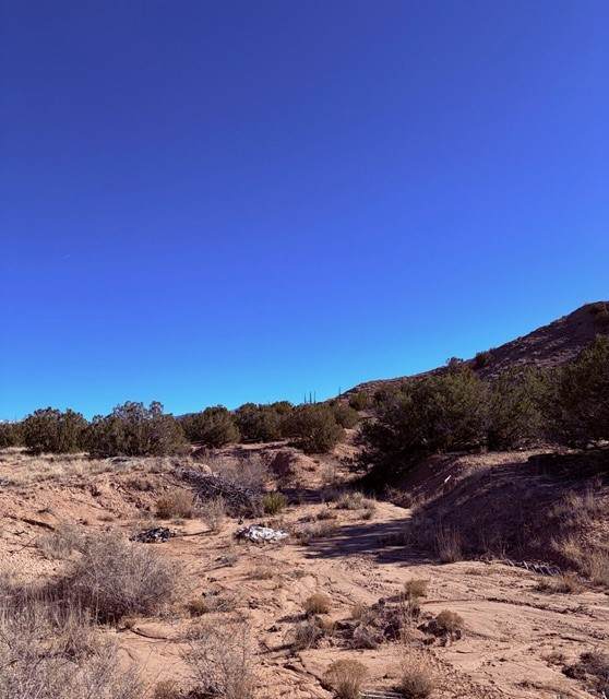2 Acres Off Of County Rd 86A - Photo 1