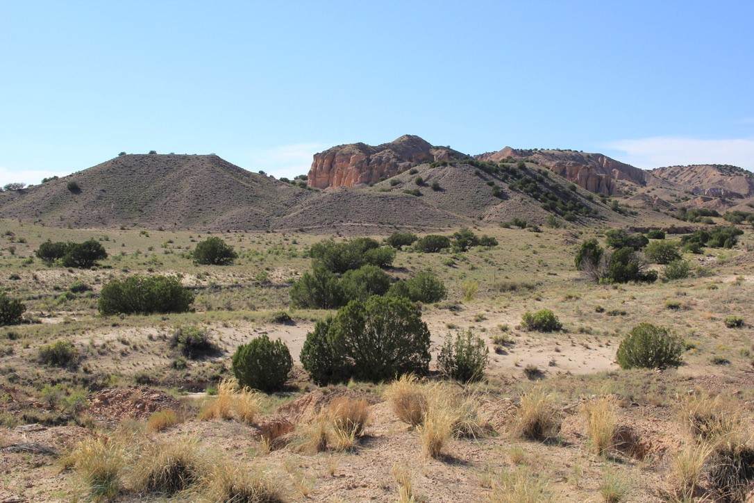 14 Blackfoot Trail - Photo 1