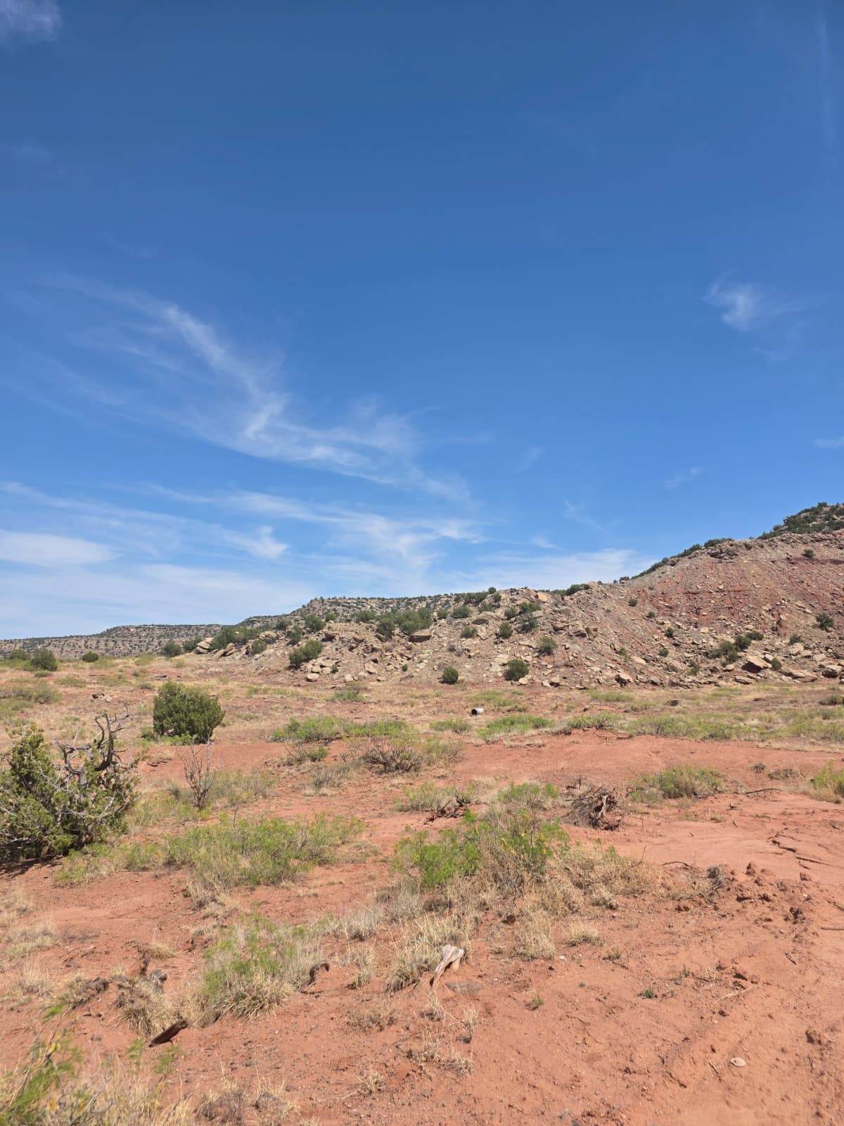 10 Rancho Lake Conchas - Photo 1