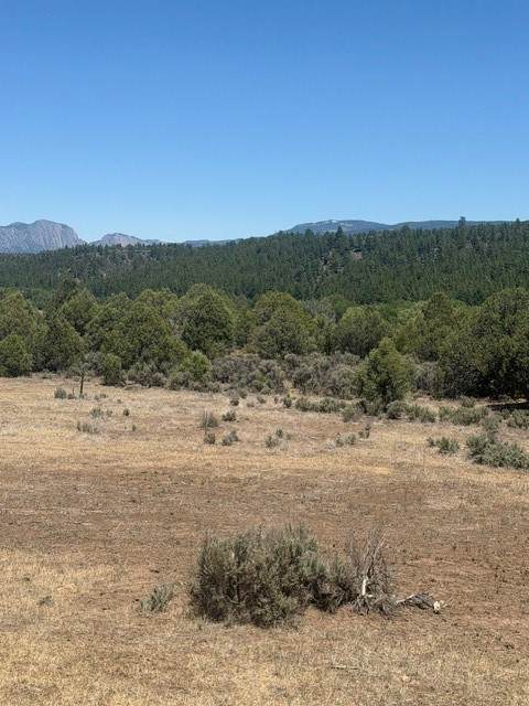 https://bt-photos.global.ssl.fastly.net/santafe/orig_boomver_1_202603402-2.jpg