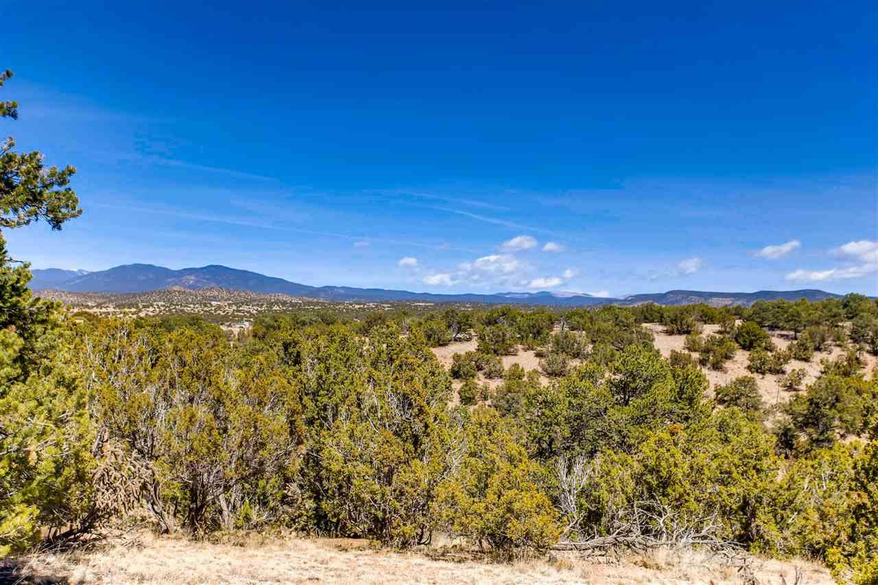 31 Tierra Sabrosa - Photo 1