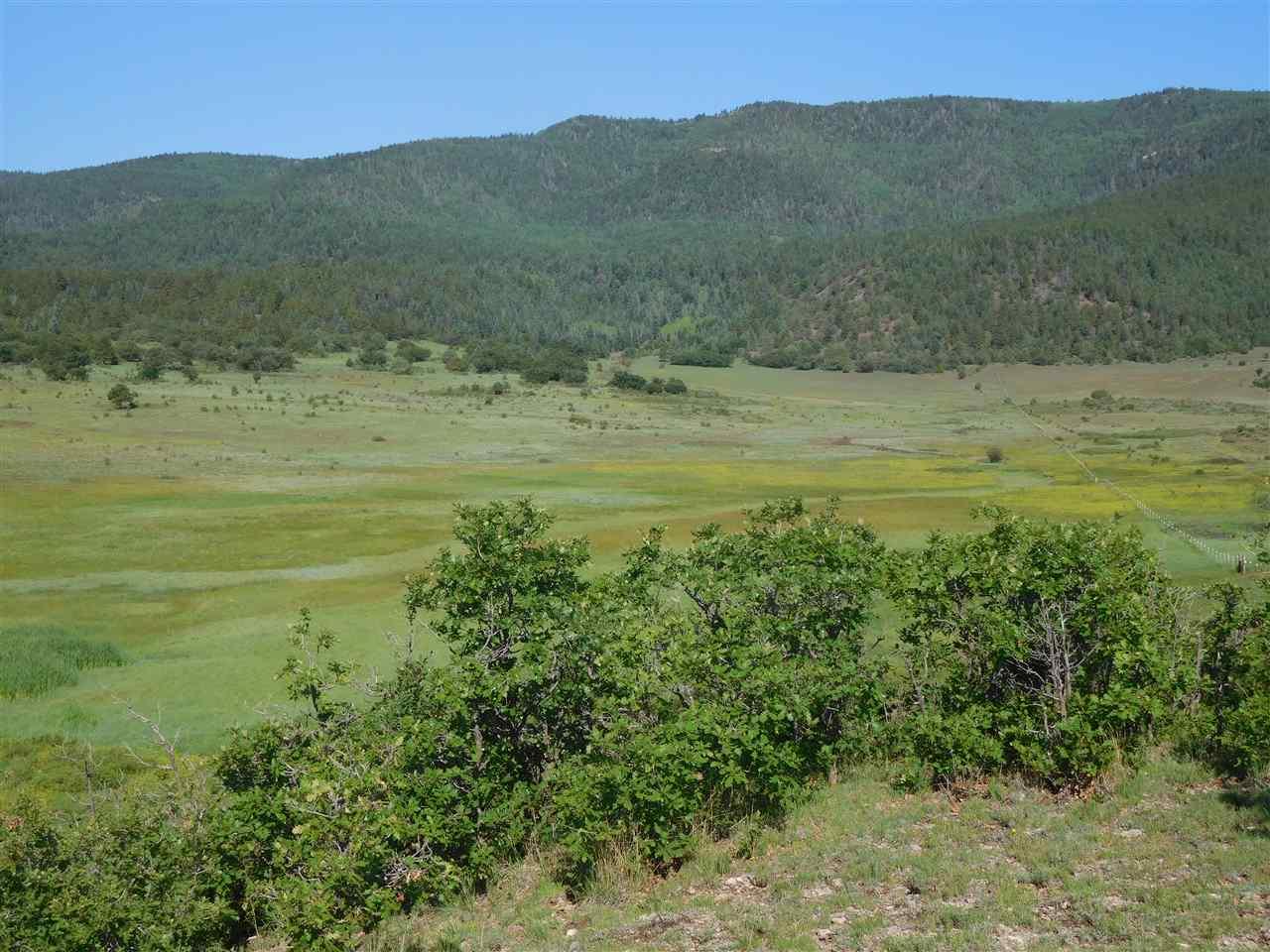 Ranch - Photo 1