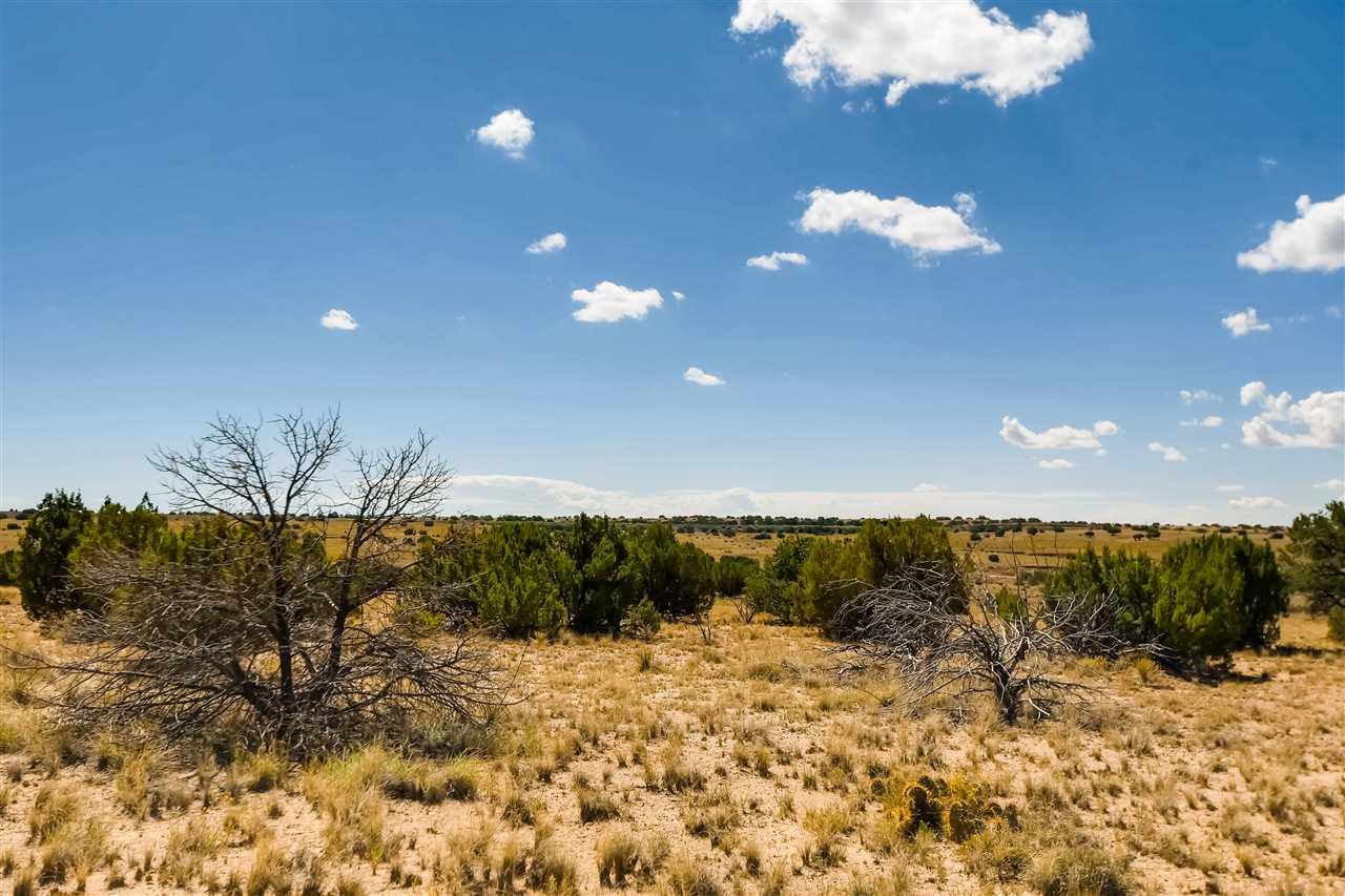 200 Thornton Ranch - Photo 1
