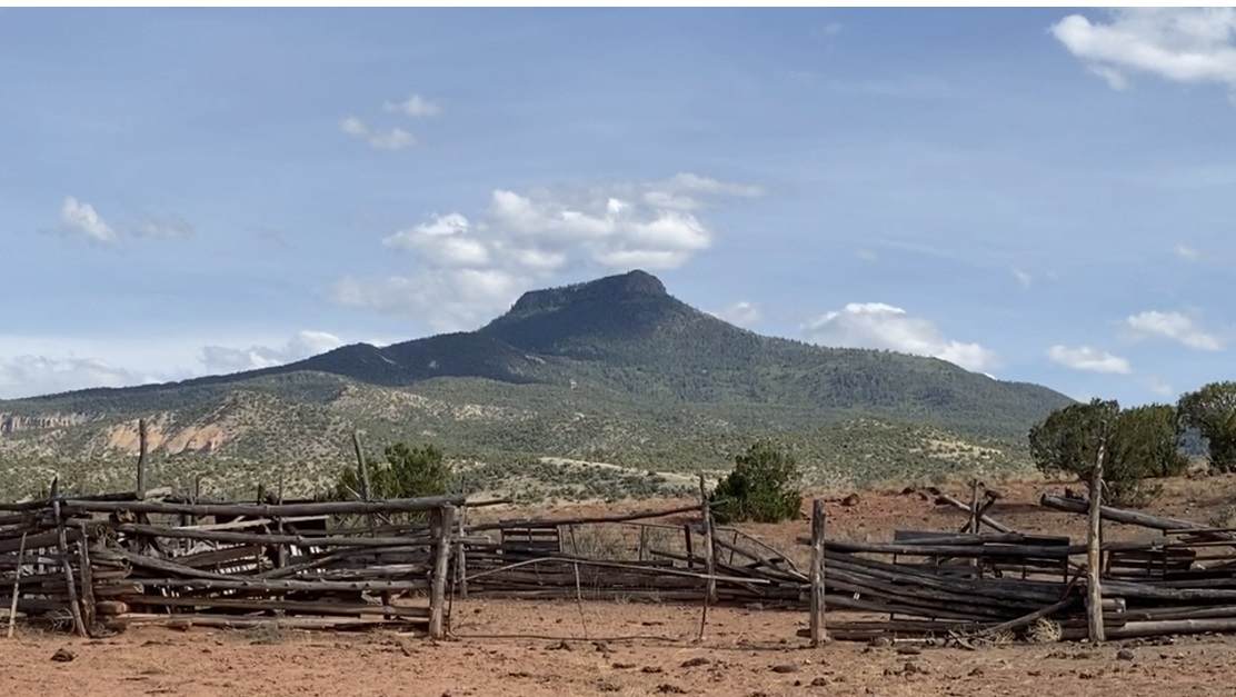 OFF Nm 96 247.7 Acres - Photo 1