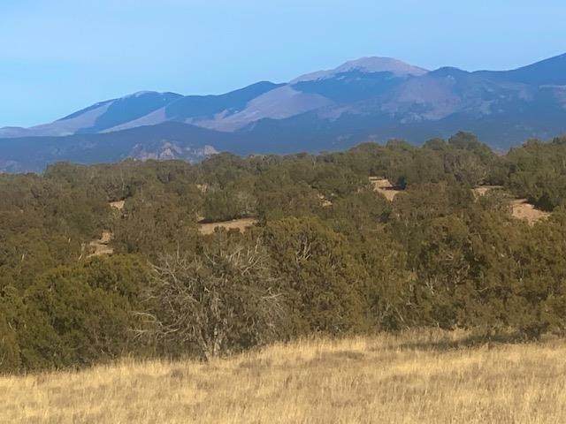 19 Cloud March West - Photo 1