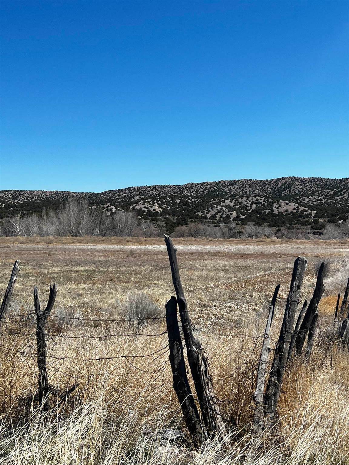 TBD County Road 215 - Photo 1