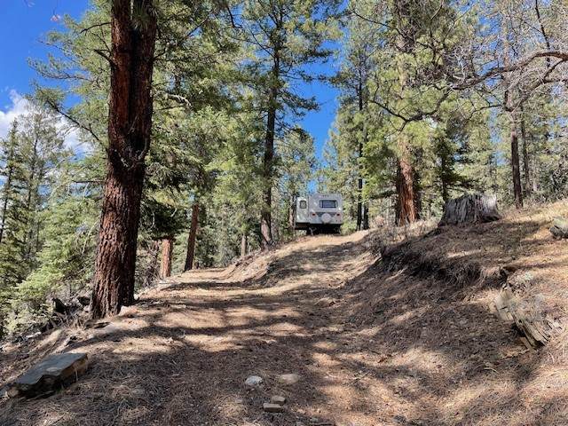 Lot 3, Block 3 Unit Pecos Canyon Estates - Photo 1