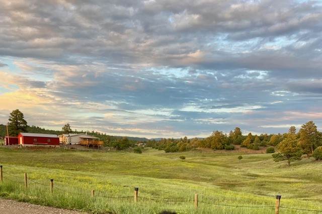 63 Pd 1796 - Photo 1