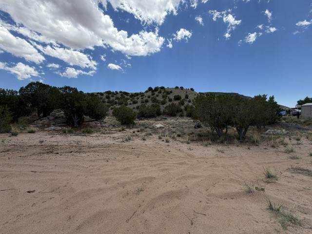 18 Sparrow Lane - Photo 1