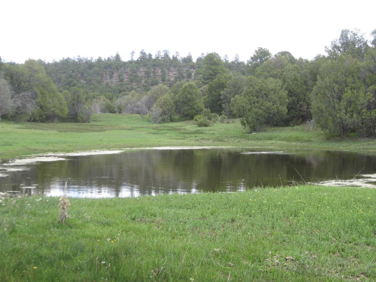 Lot 1 Section 17, 20, Tn 26 N, Rg 05E - Photo 1