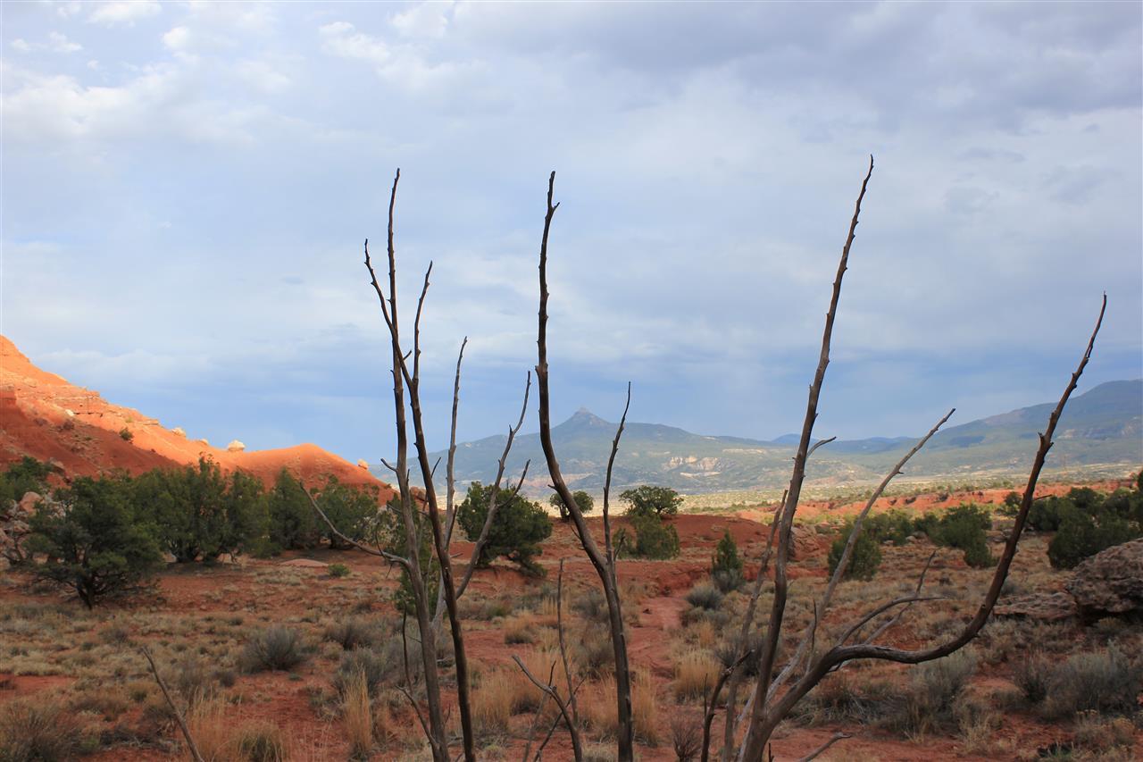 Red Valley Ranch - Photo 1