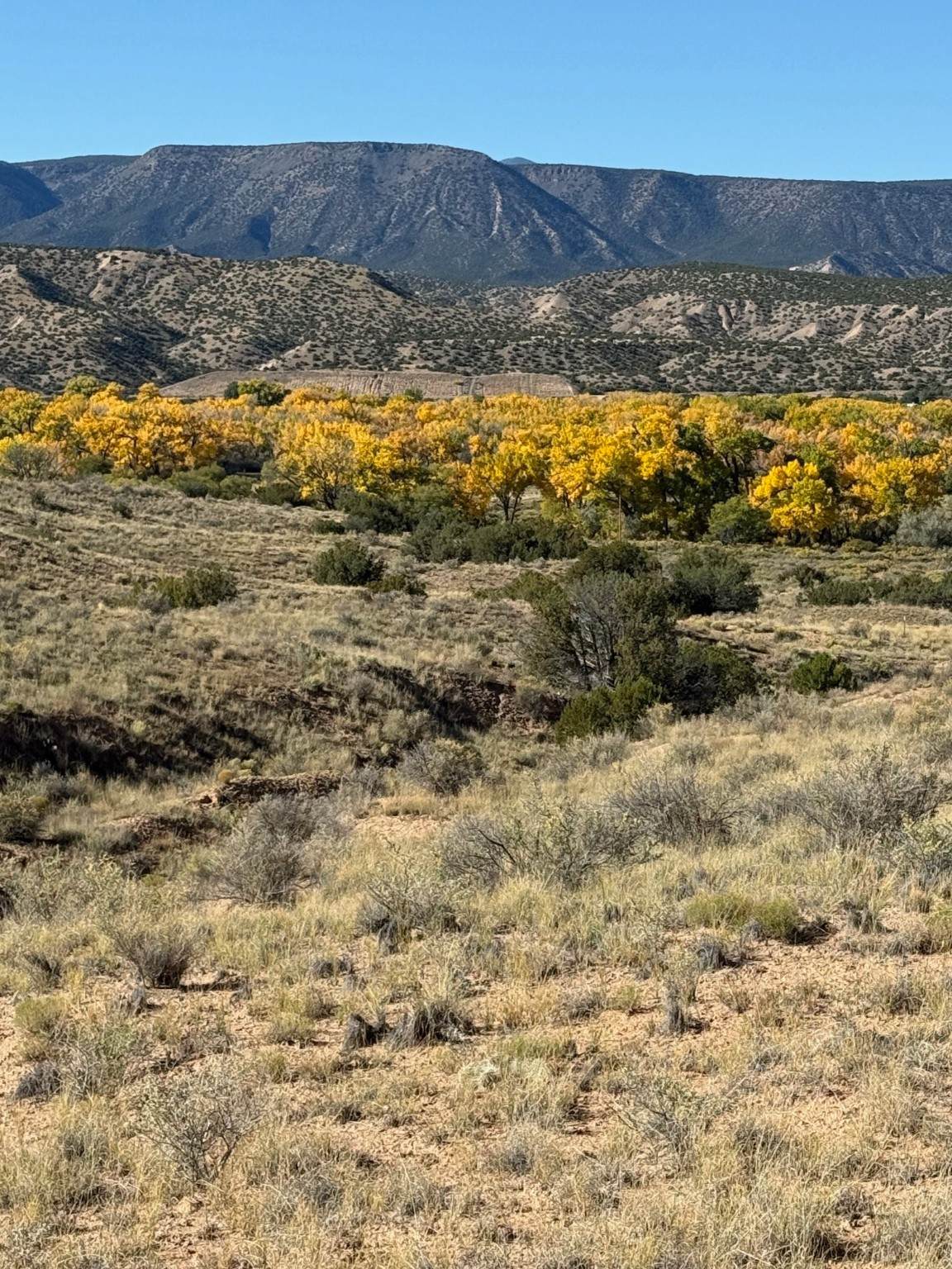 https://bt-photos.global.ssl.fastly.net/santafe/orig_boomver_3_202342182-2.jpg