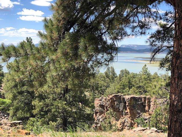 72A Canyon Dr Loop - Photo 1