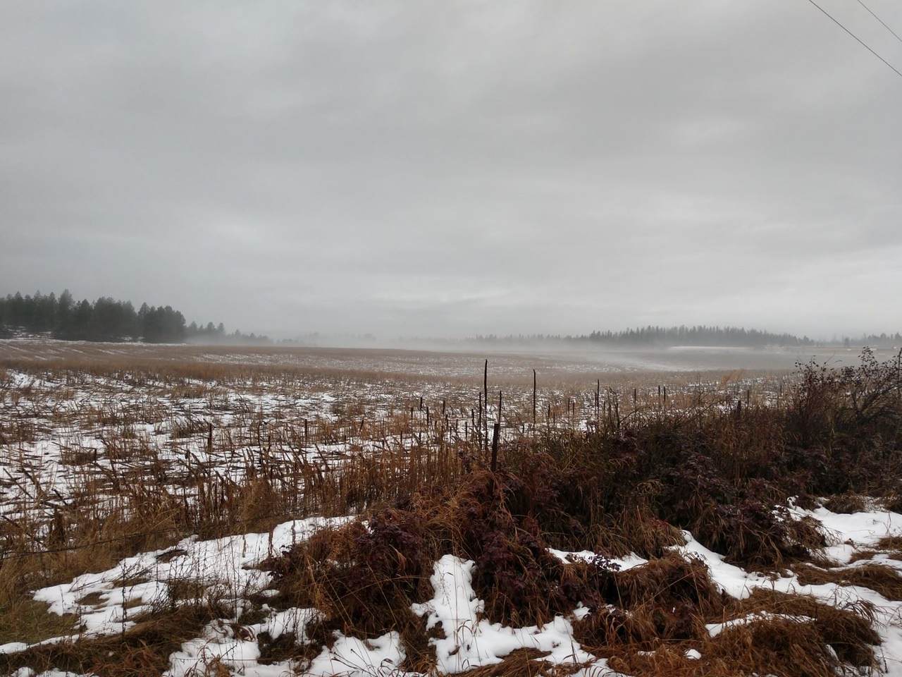 00 Spotted Rd - Photo 1