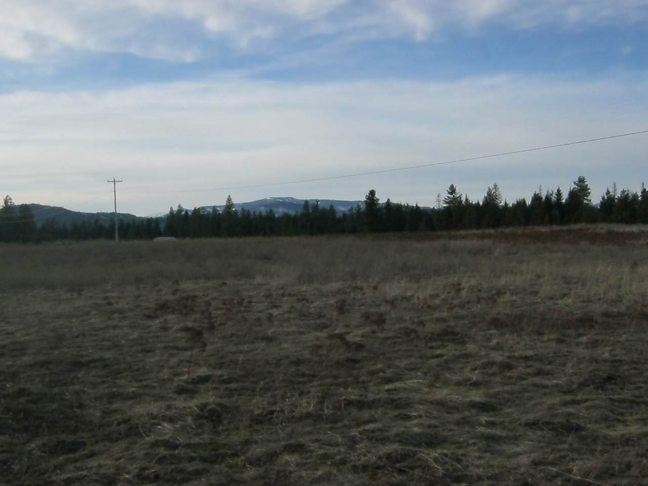 4772 Camden Rd - Photo 1