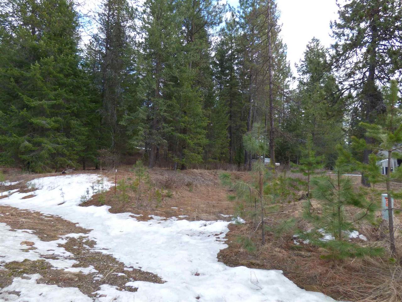 4209 Fantasy Ct - Photo 1