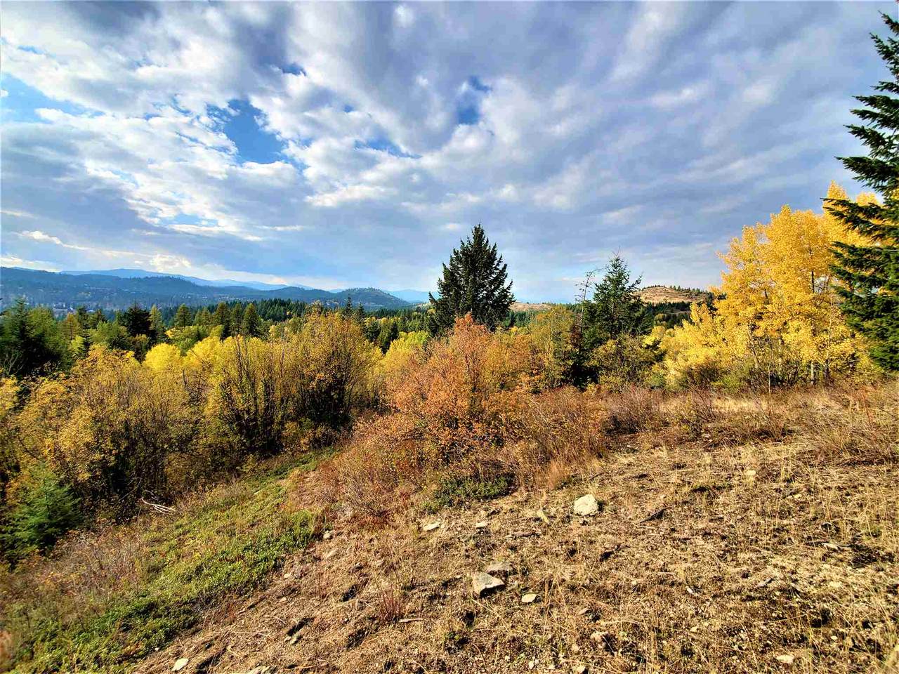 NNA Lookout Rd - Photo 1