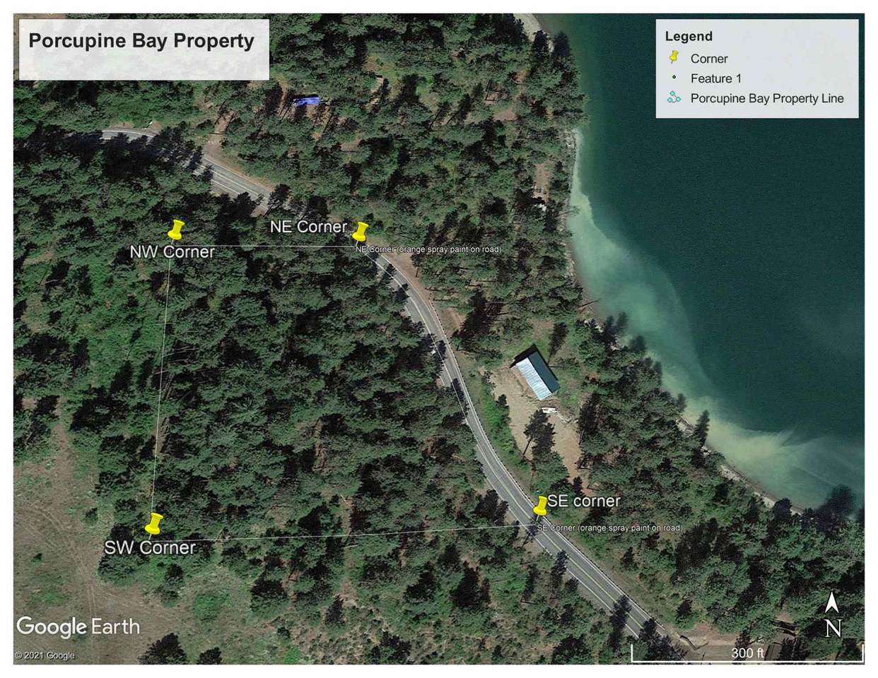 43353 Porcupine Bay Rd N - Photo 1