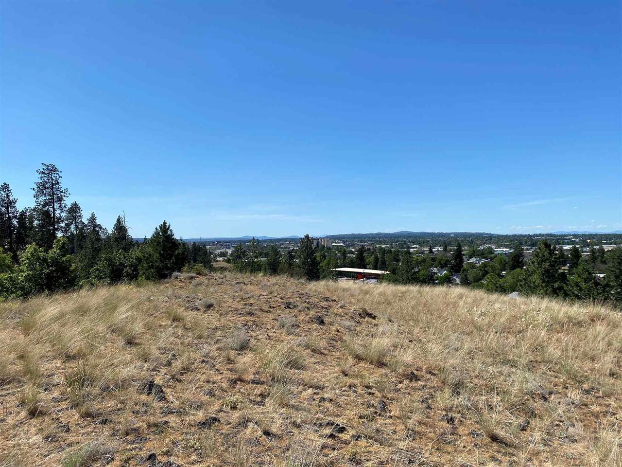 1850 Hartson Ave - Photo 1