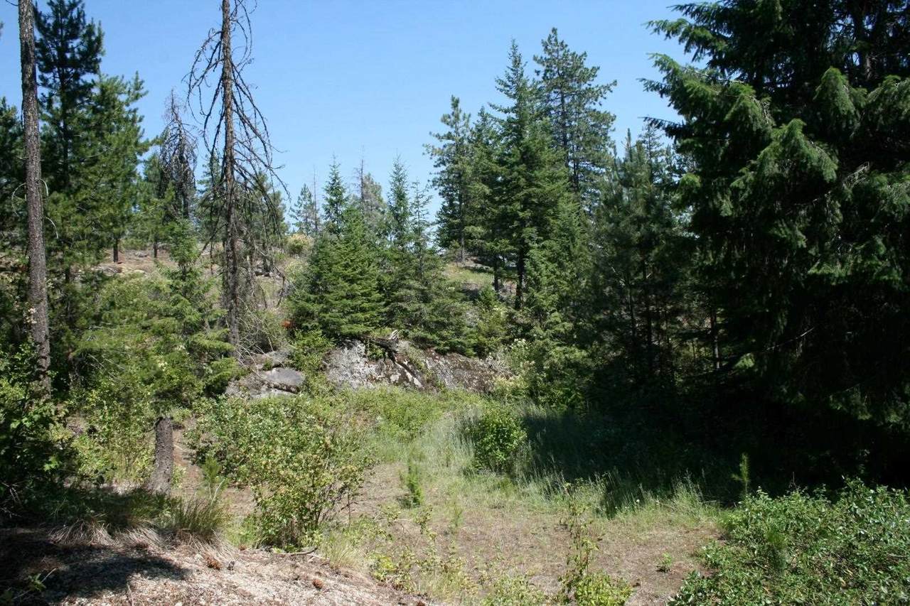 Lot 8 Quartz Rd - Photo 1