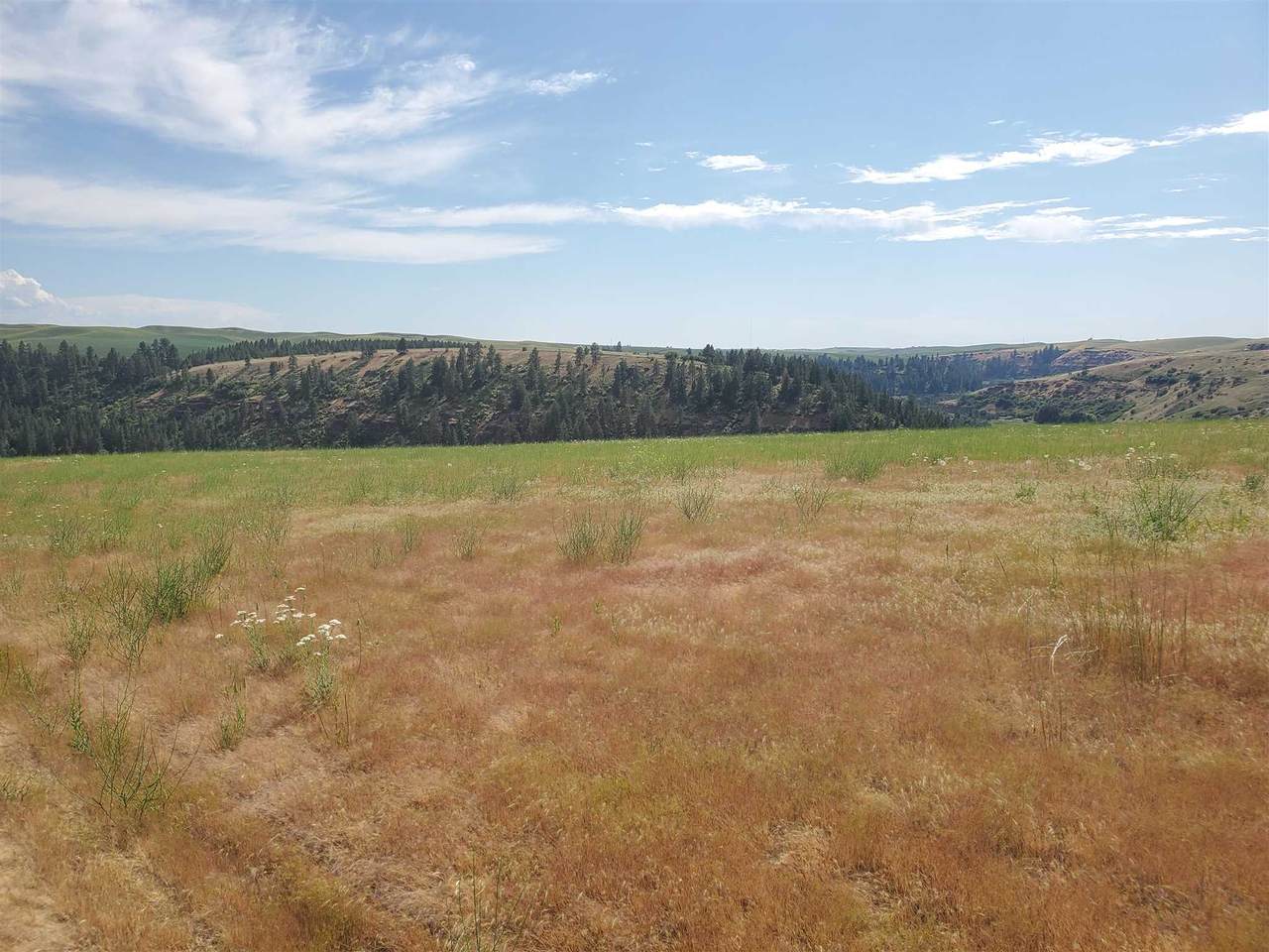 Lot 26 Red Tail Ridge Rd - Photo 1