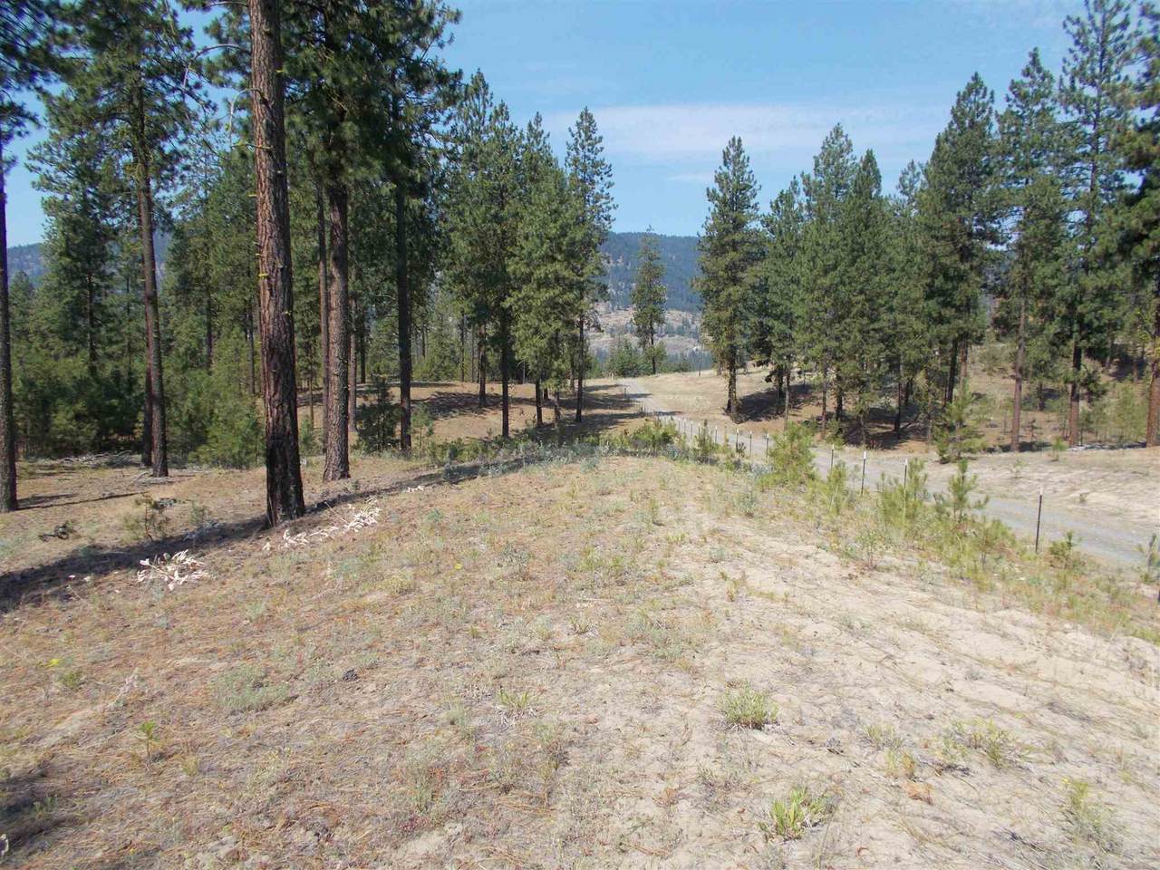 Lot 2 Eagle Driveway Dr - Photo 1