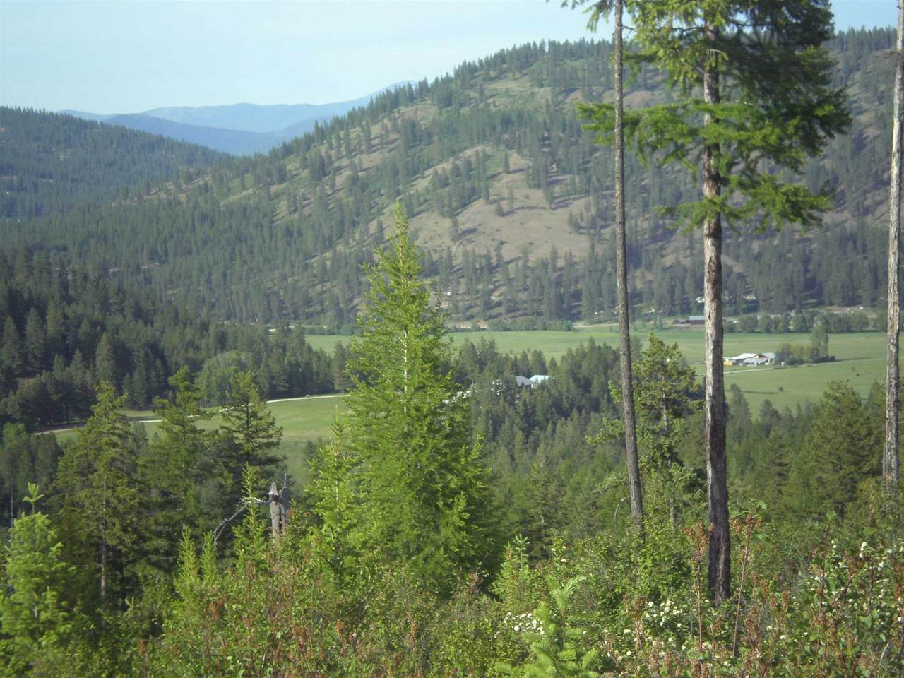 36XX3 Hoag Rd - Photo 1