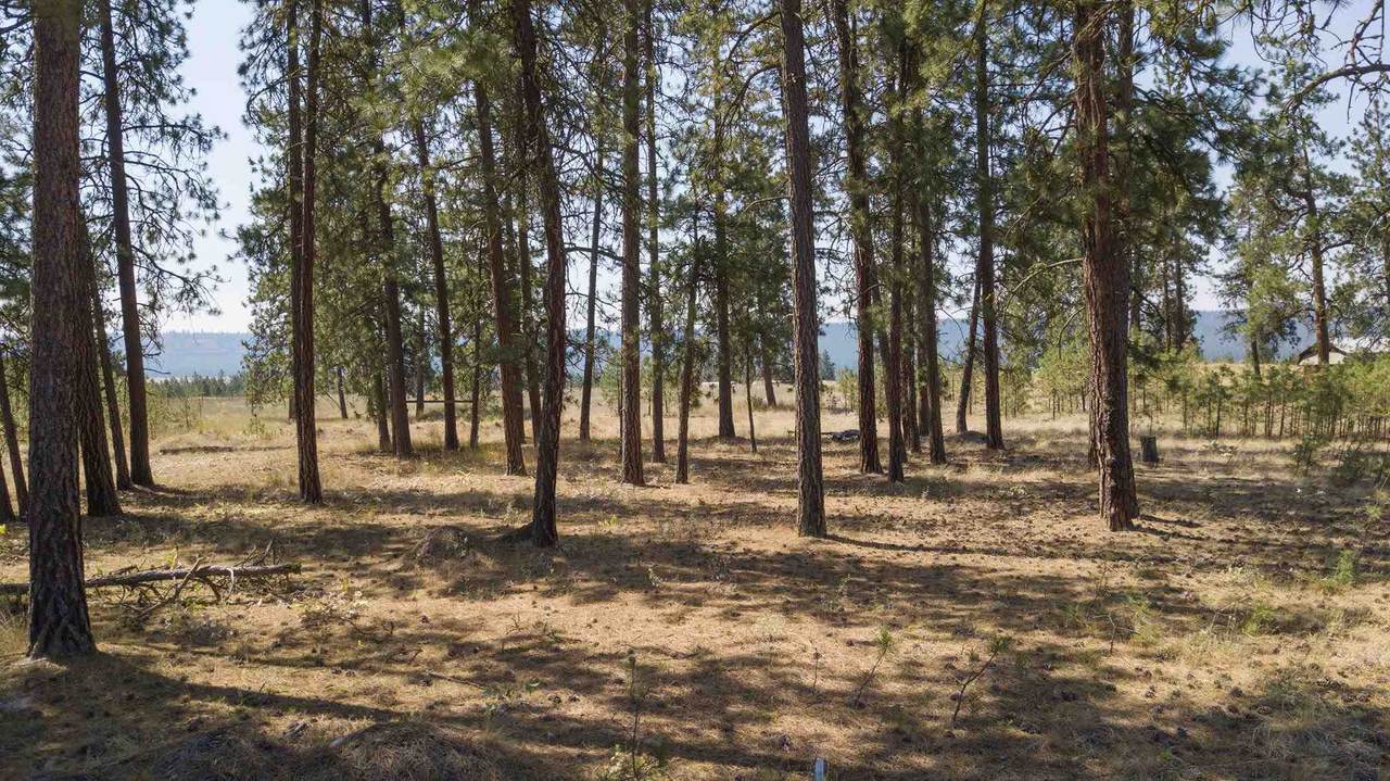 7653 James Way - Photo 1