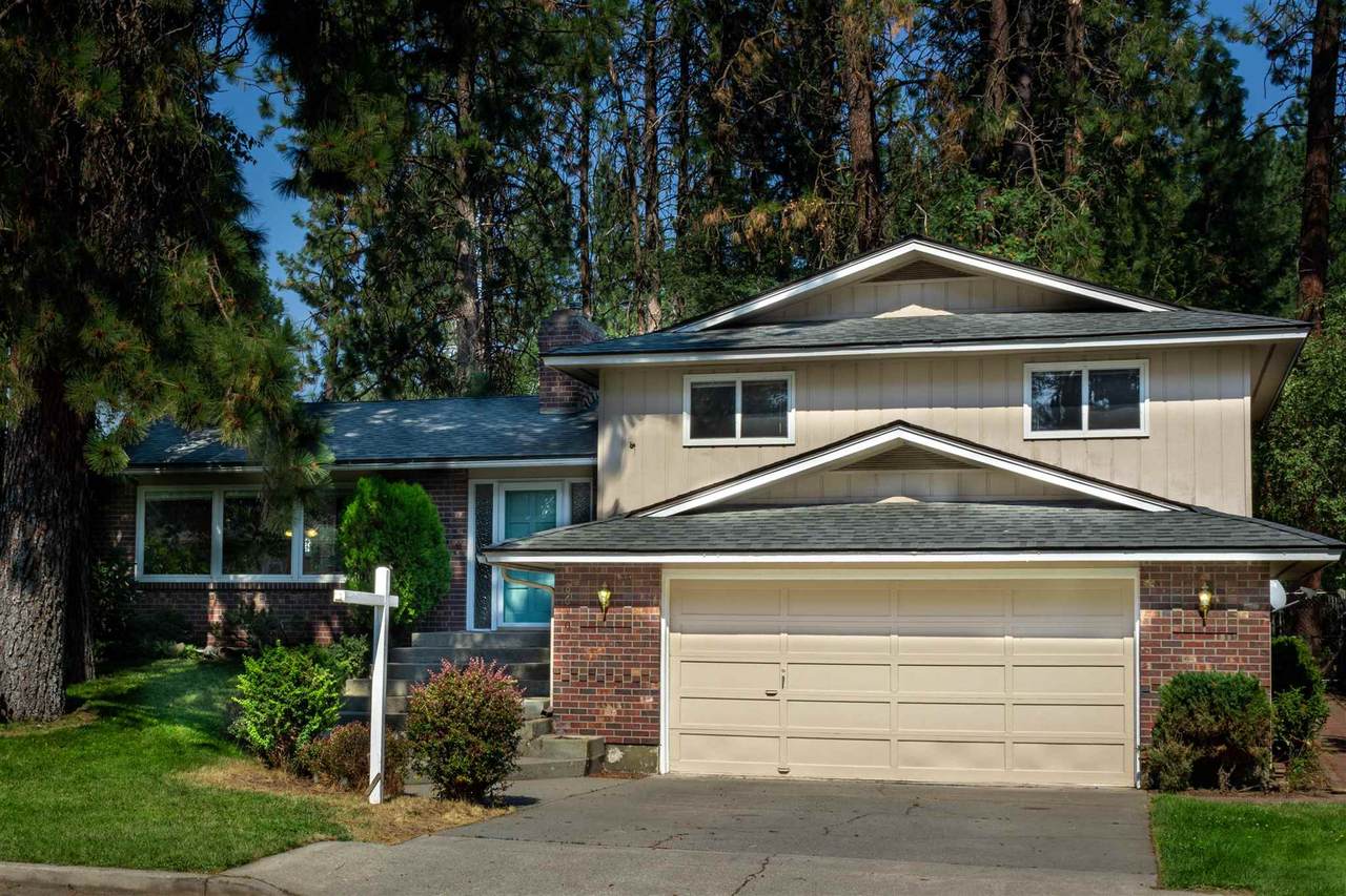 8610 Pamela St - Photo 1