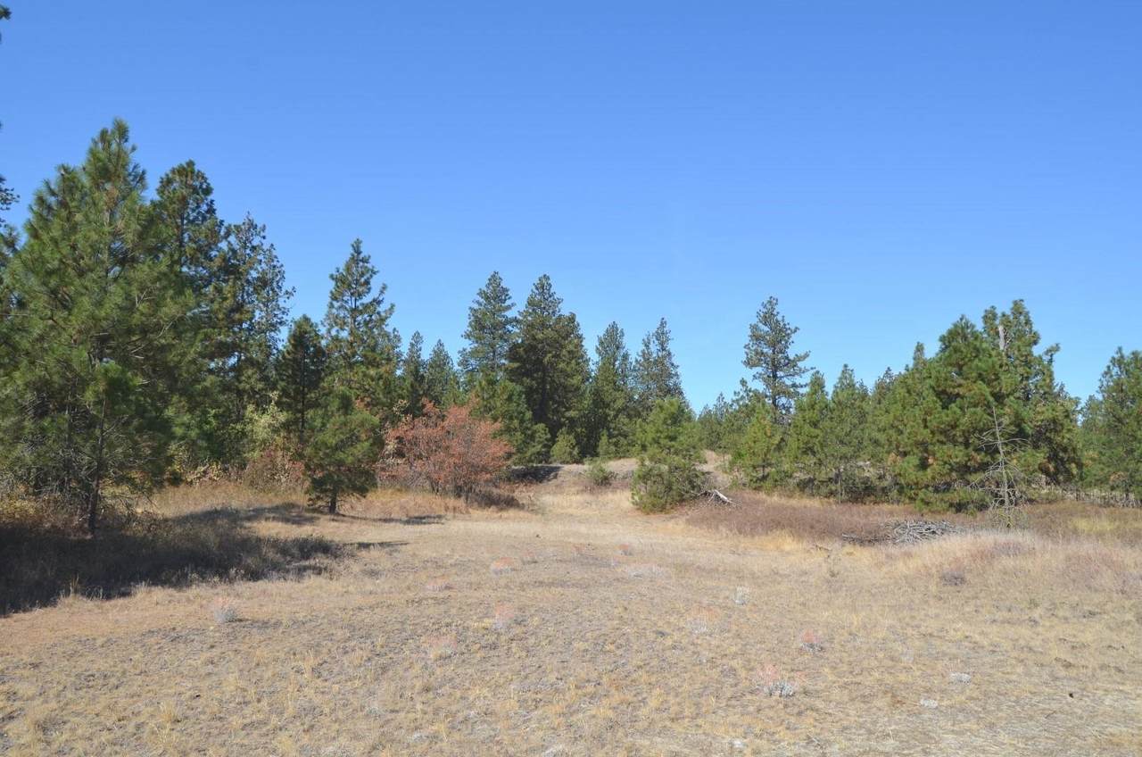 30710 Mullinix Rd - Photo 1