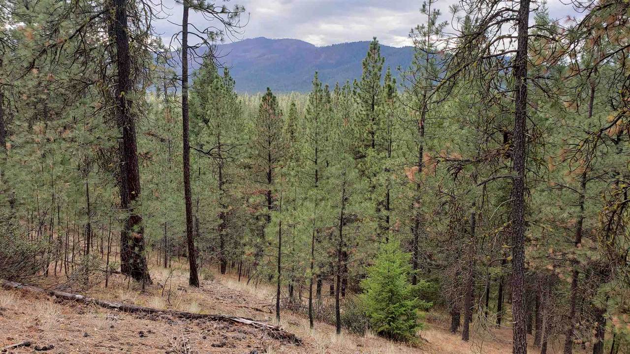 214X Silver Creek Rd - Photo 1