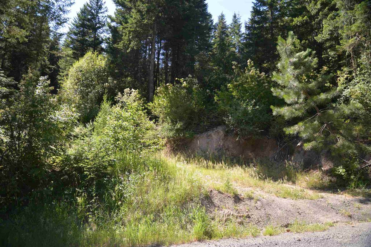000 Star Rd - Photo 1