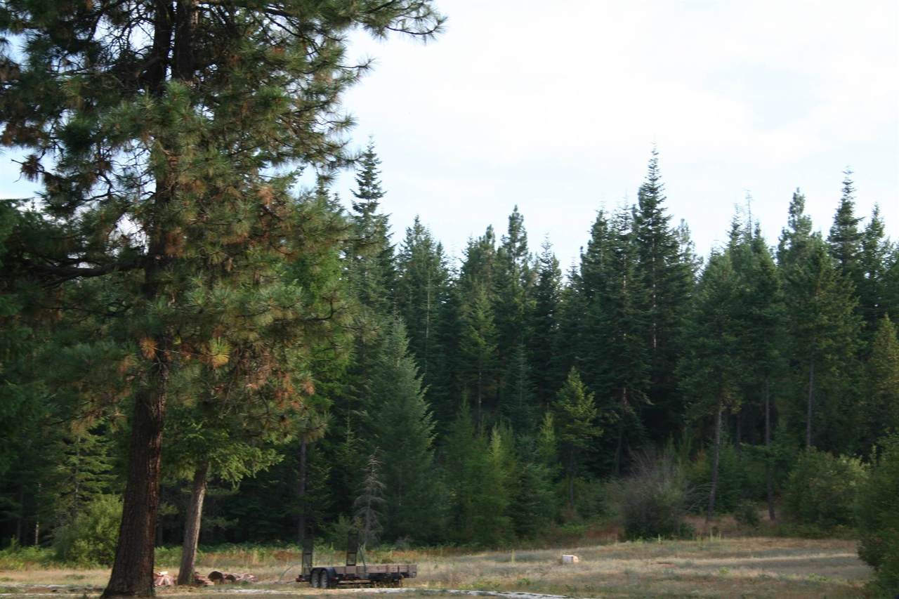 xxxx Luther Rd - Photo 1