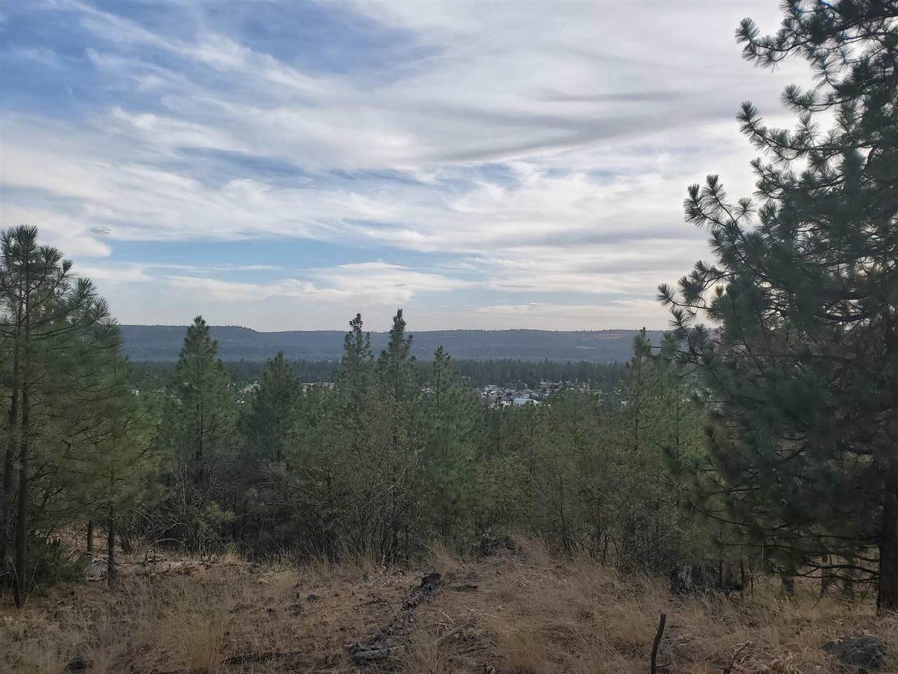 TBD 291 Hwy - Photo 1