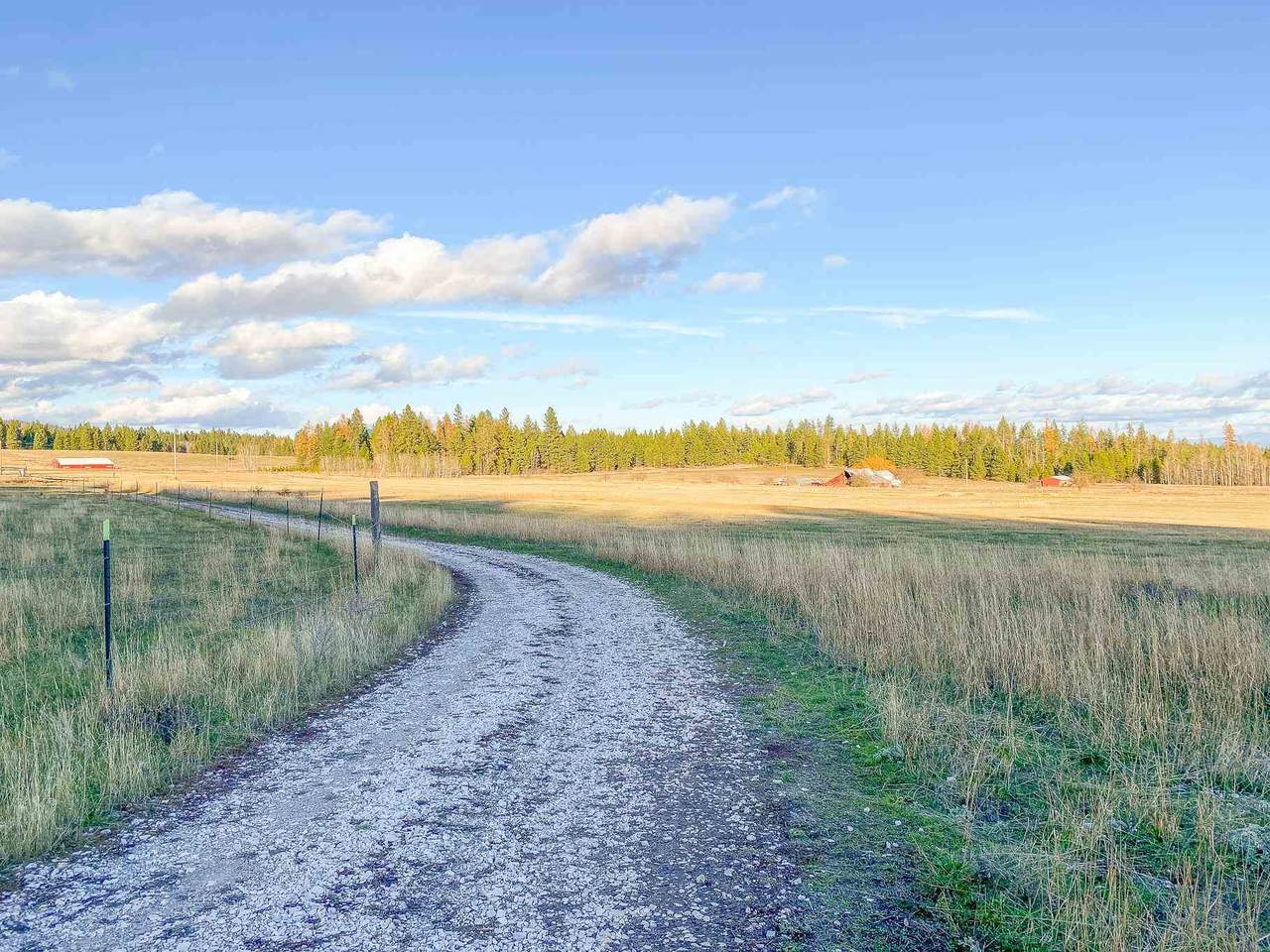 000x Bellstar Rd - Photo 1