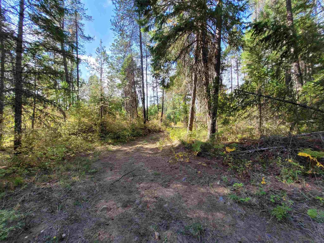 4351 U - 4351 T Hesseltine Rd - Photo 1