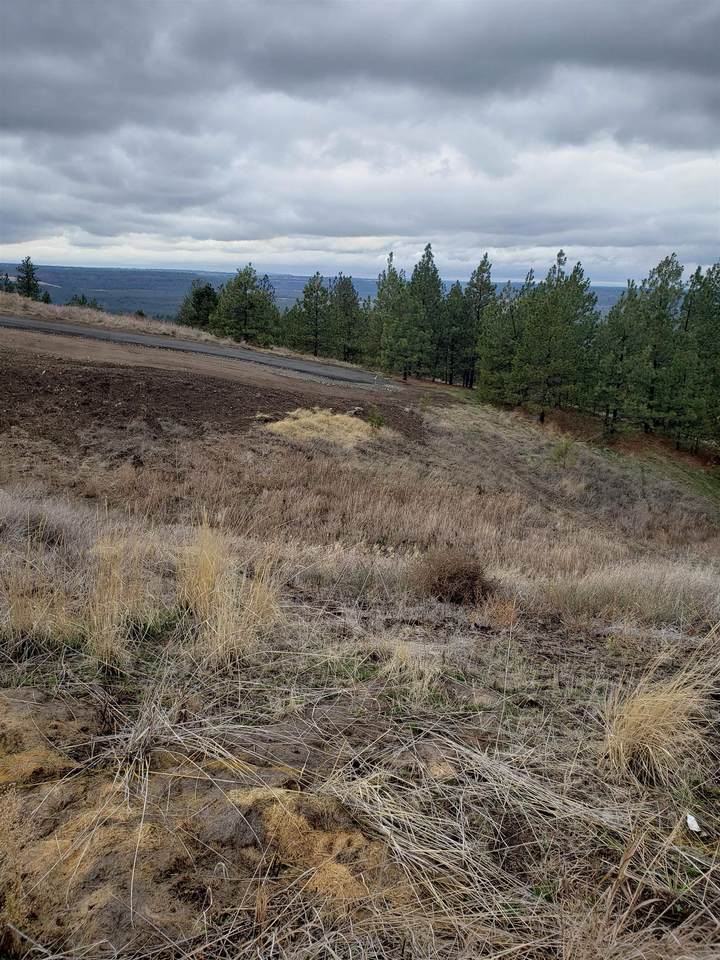 8907 Rustle Rd - Photo 1