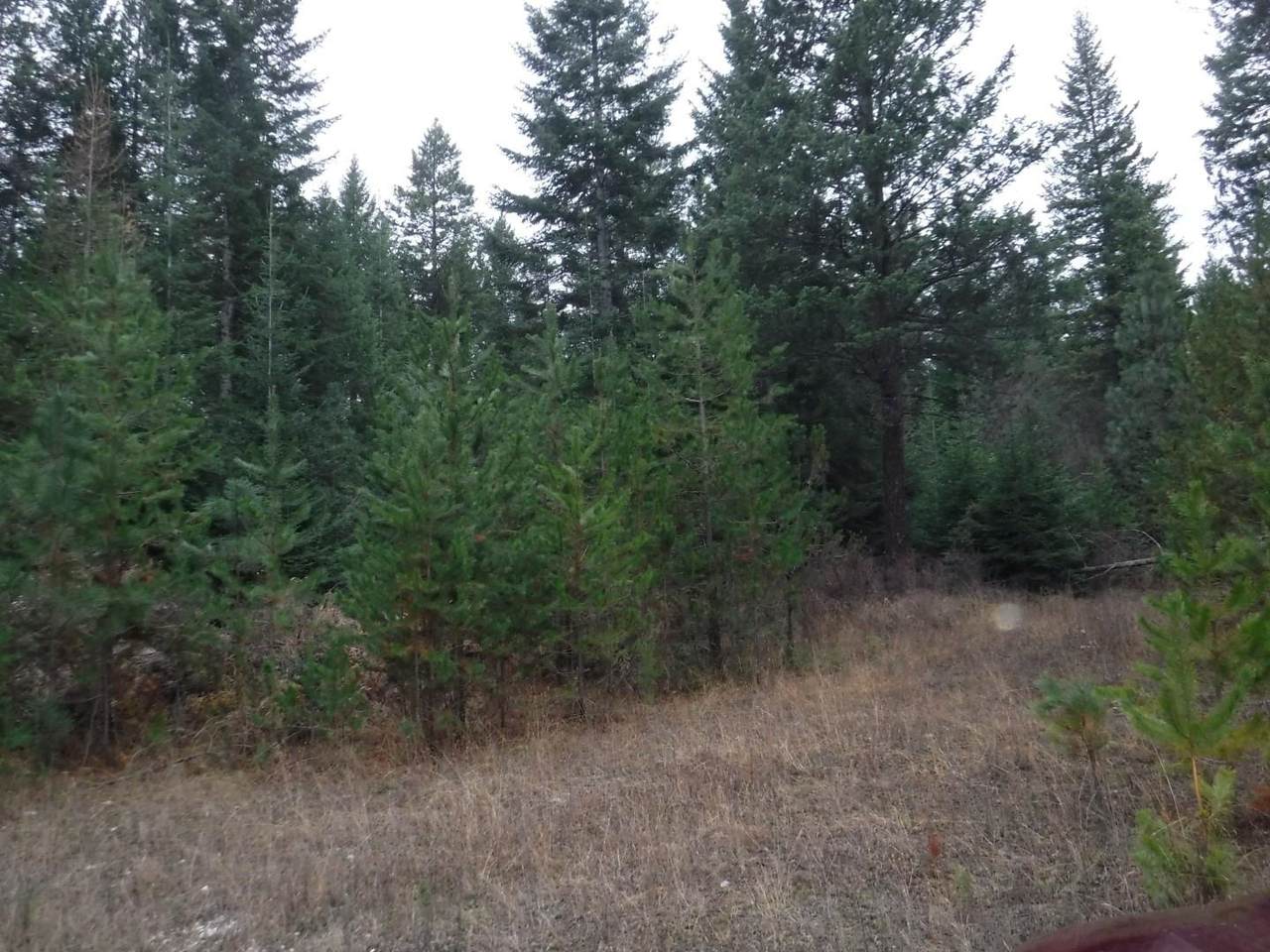 4828 Eagle Ridge Way - Photo 1