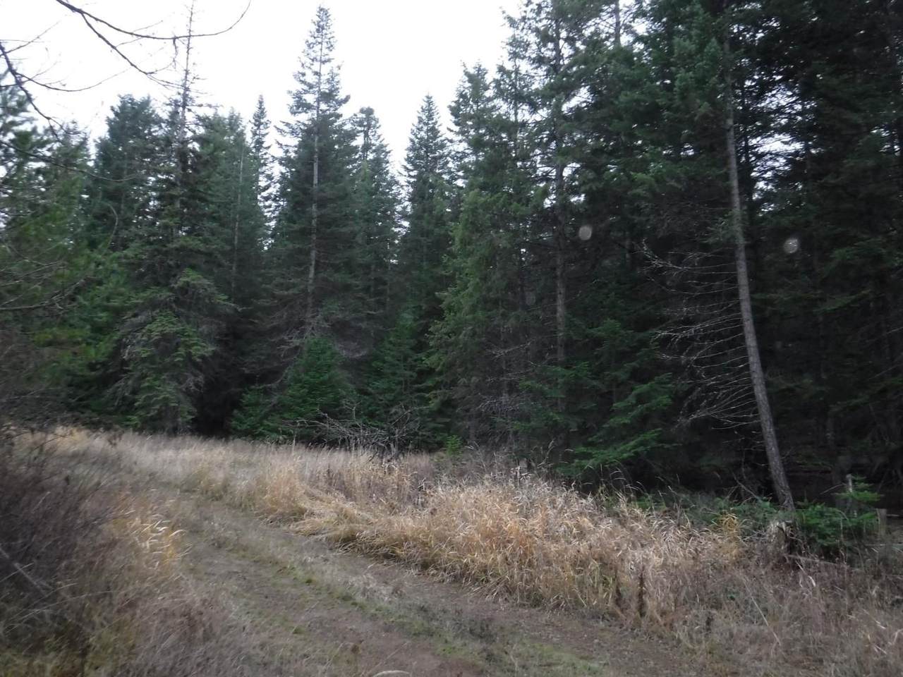 XX Eagle Ridge Way - Photo 1