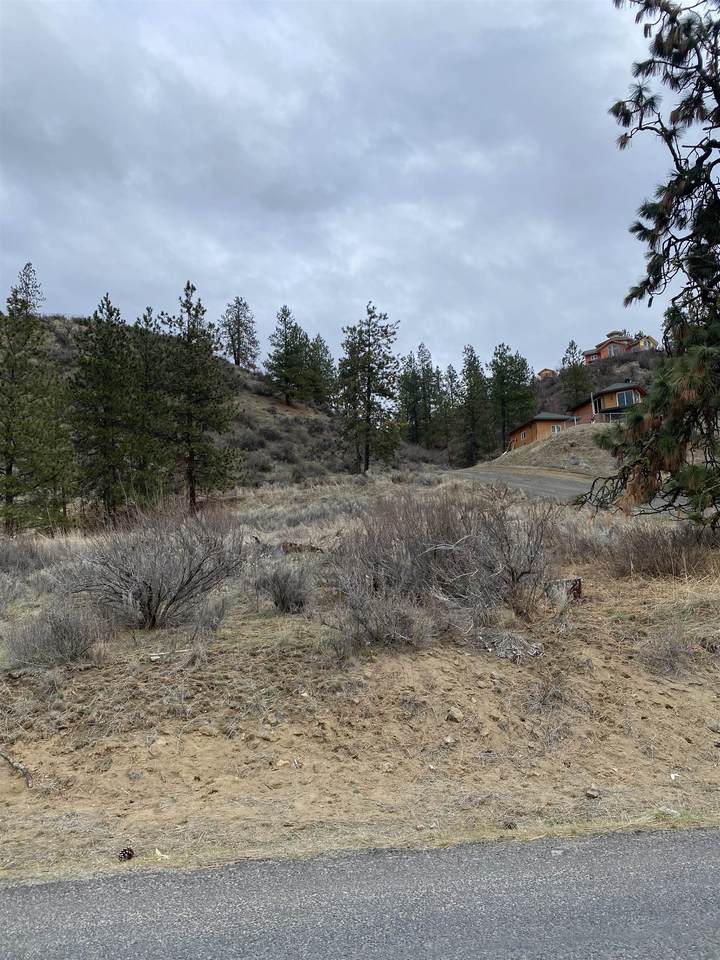 42520 Buckhorn Rd - Photo 1
