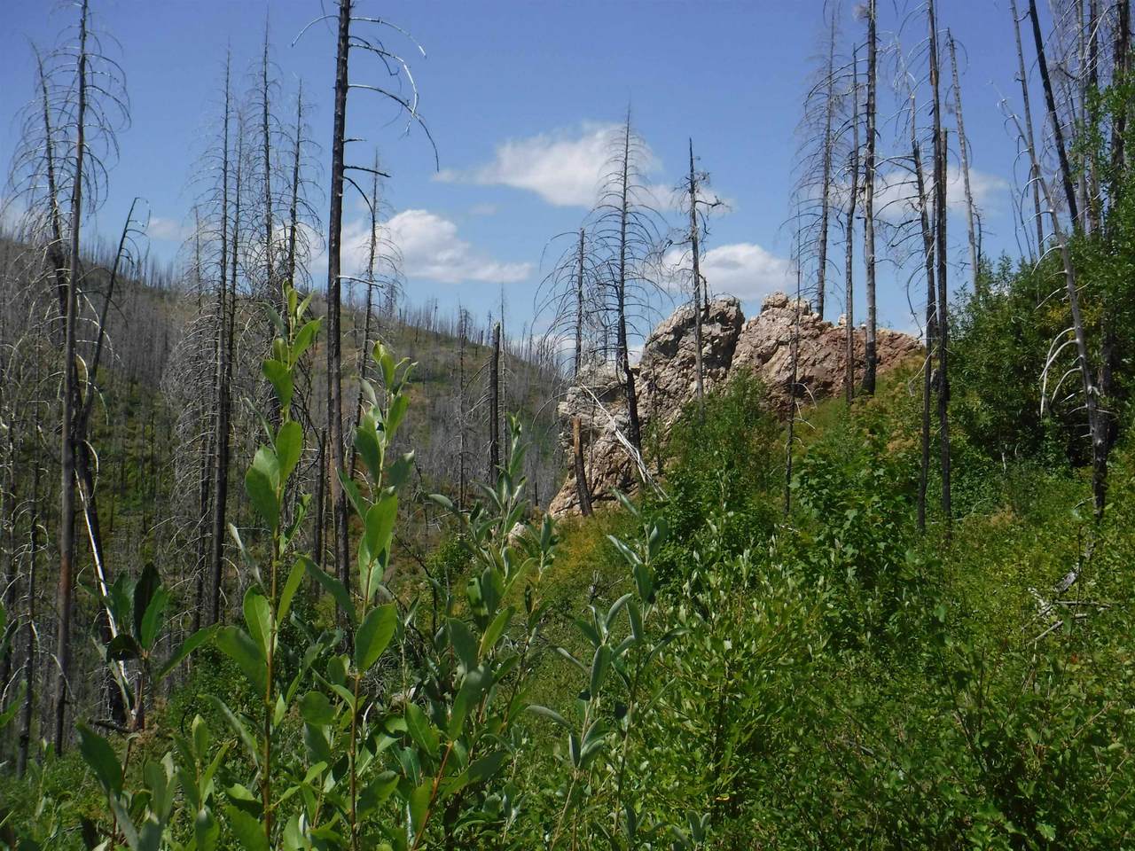 XX Cleveland Mine Rd - Photo 1