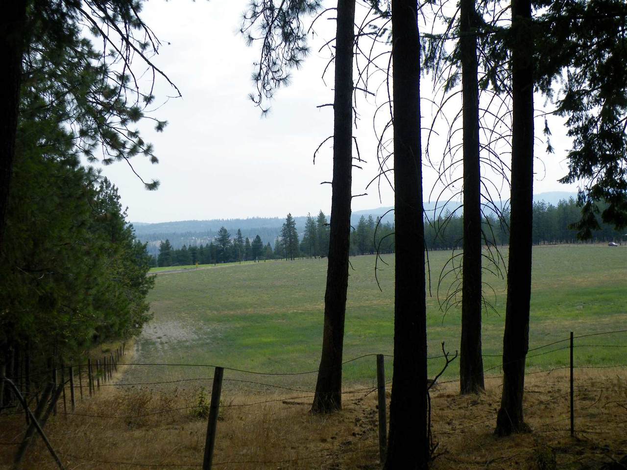 159XX Charles Rd - Photo 1