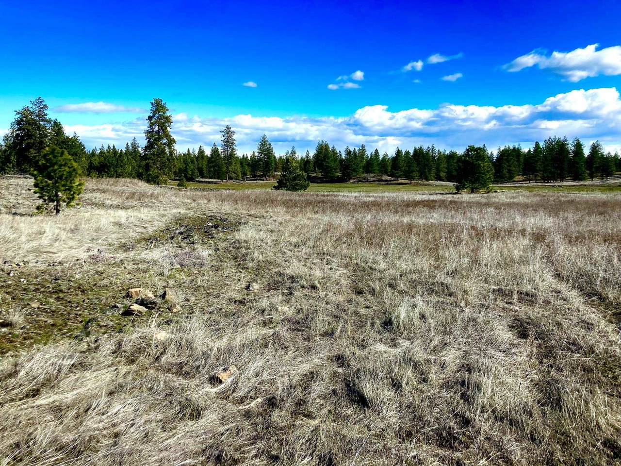 0 Ritchey Rd - Photo 1