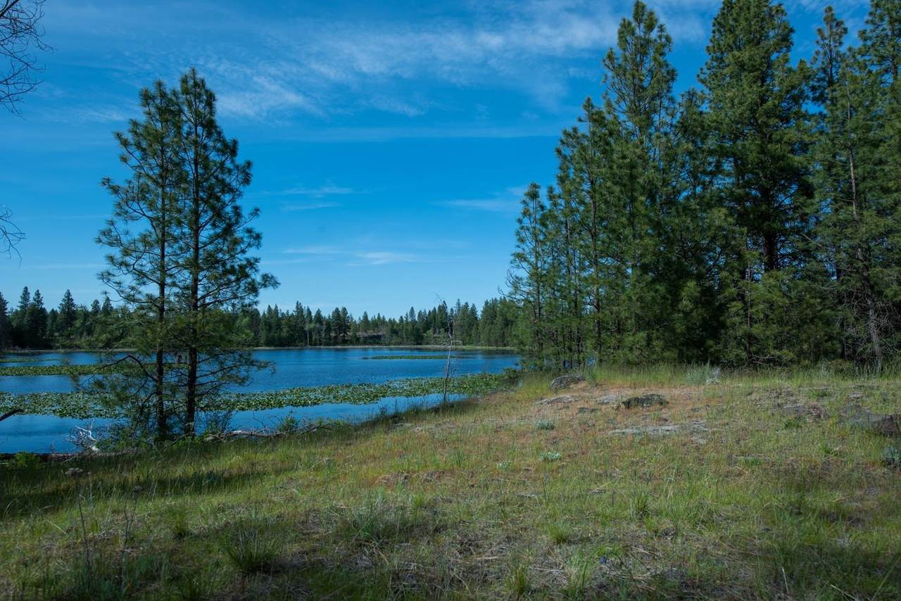 XXXX Page Pond Ln - Photo 1